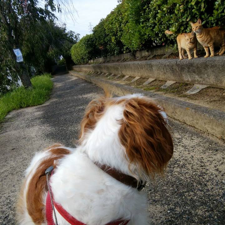 70afa1c3 5c57 42cf a6b9 f68f329f9ed4 1563234879466