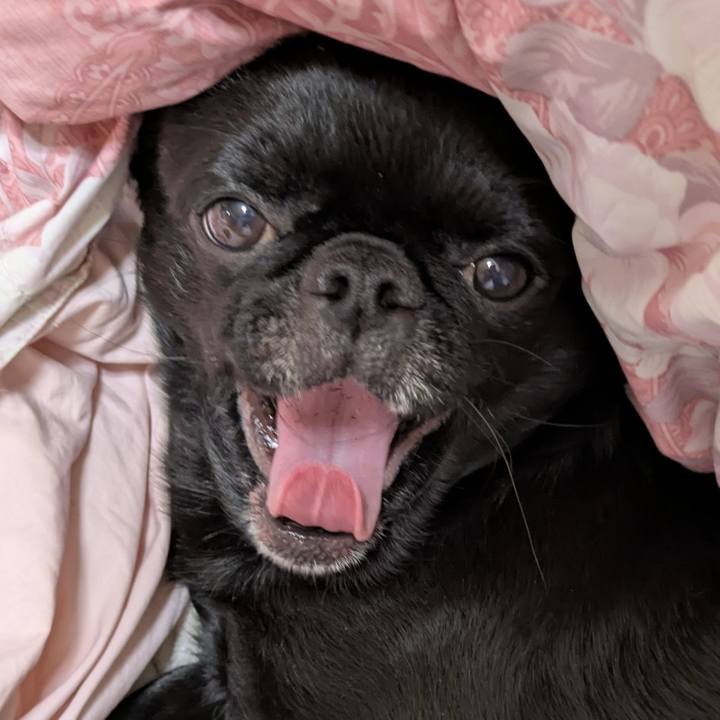 70afc449 cdd6 4a93 86c2 9f80031eb141 1771510638666