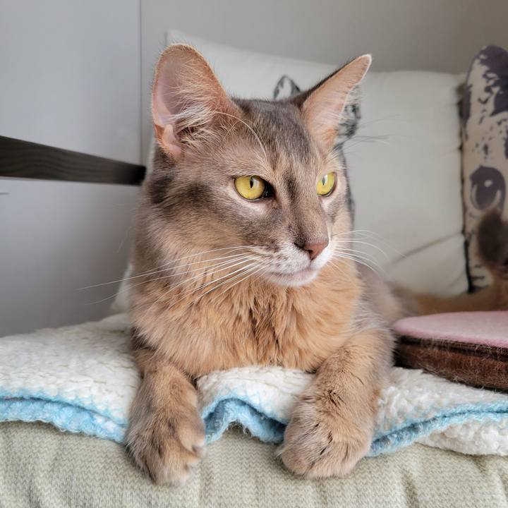 70afdc15 70d1 4dd6 b321 e614a1a892f2 1666845316256