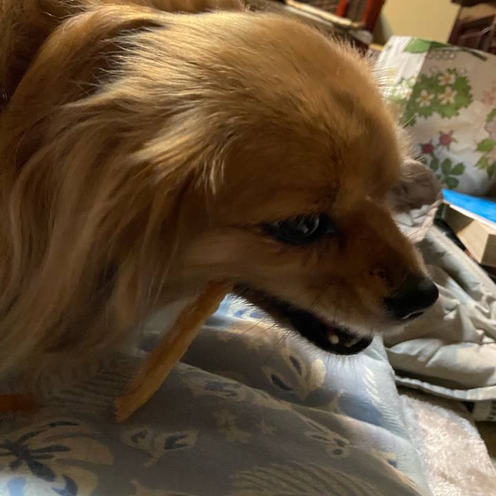 70b01334 4802 4b83 b3bc ea0baafc1def 1607723378780