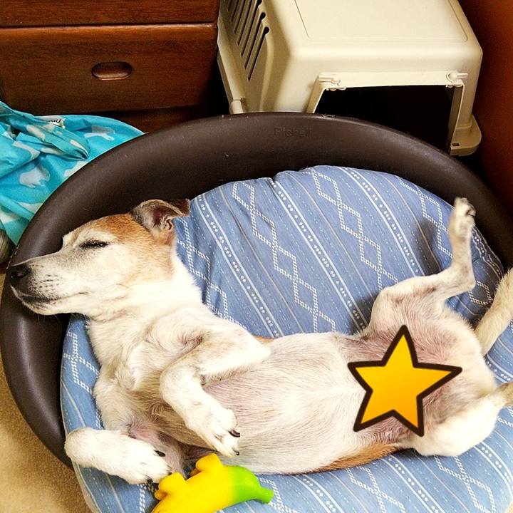 70b01750 167e 4661 b528 cdfdaf0ea1f9 1597468727244