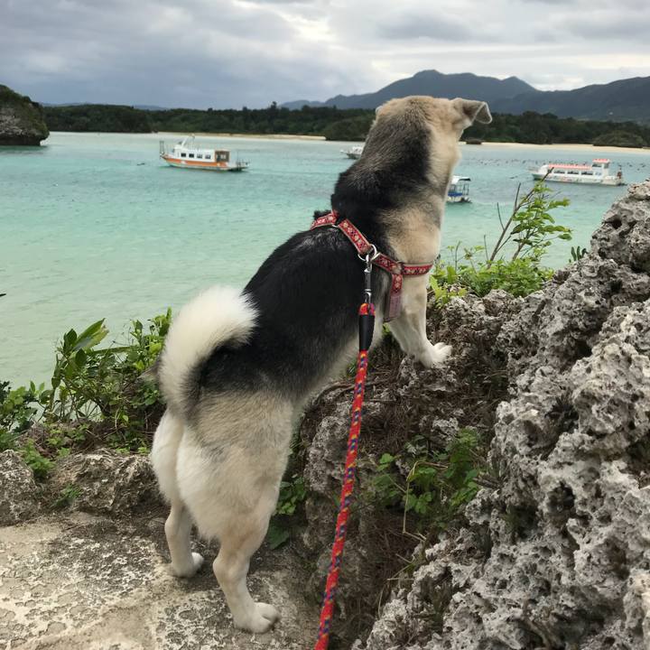 70b038f2 d72b 4dd1 9a6d d14e2ef9110c 1547424753717