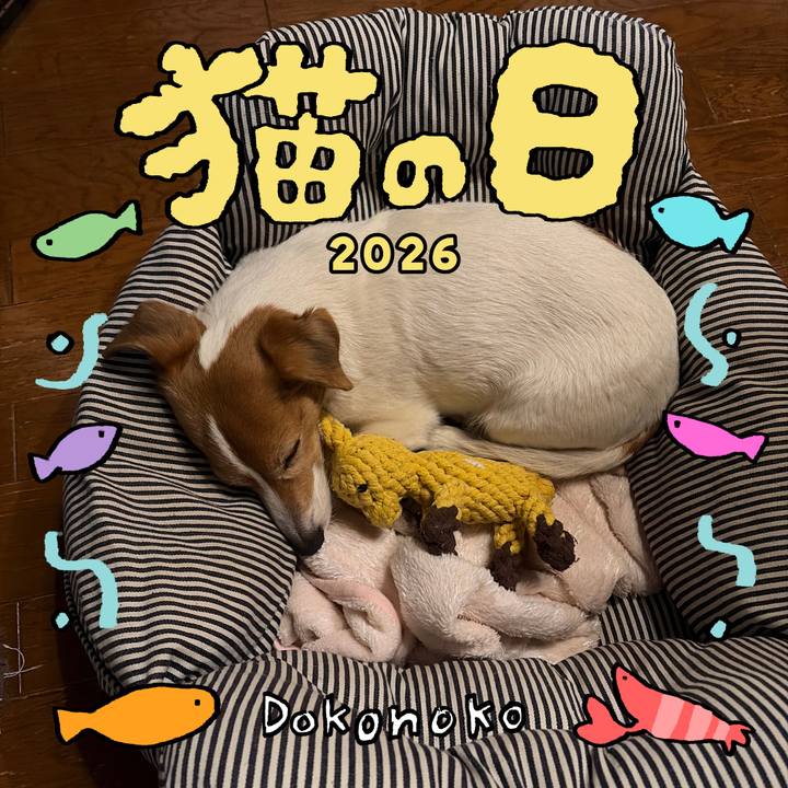 70b04d30 dac0 44f5 bdc4 f114df42bd64 1771756406386