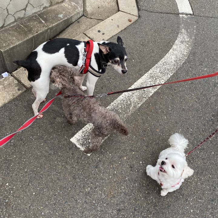 70b0c690 bd03 427a a0c1 824d358e9062 1592259393440