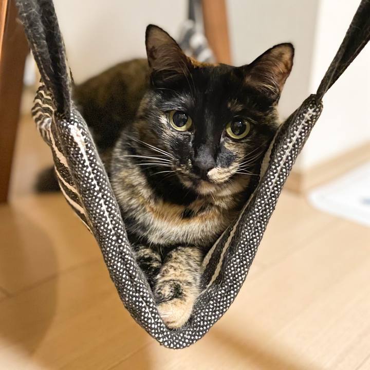 70b0caf6 6ebb 4d01 9889 41f435939ac1 1660394963494