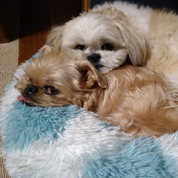 70b0f78b 11db 4084 b1f6 3d468252177f 1642232649673