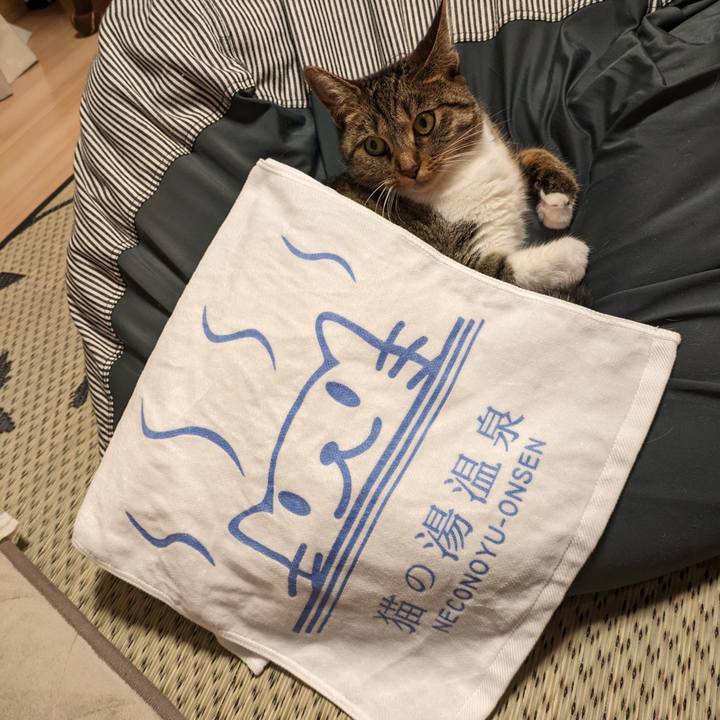 70b12aca 6f17 450c b1b1 f689f4d8fa92 1688387617204