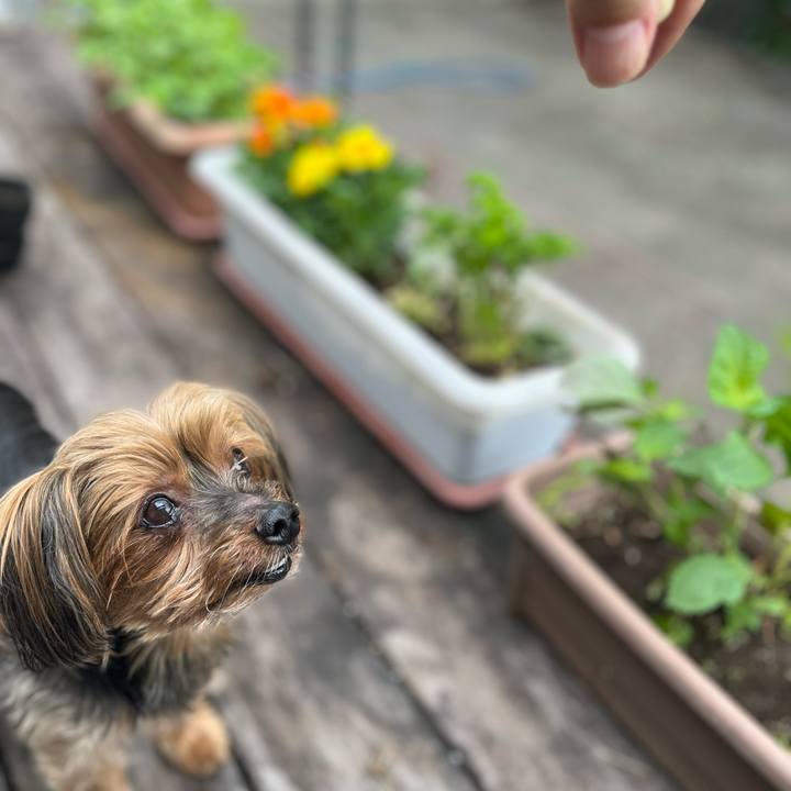 70b14369 dcfa 489e 91ca b43745e02fa7 1654511625938