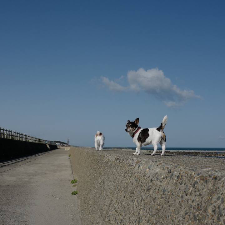 70b17d9a ac85 4d10 8aa1 76420466c8eb 1556769264544