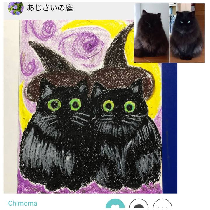 70b181ee a8f2 4453 85b8 1eee6b74bd7b 1603856605257