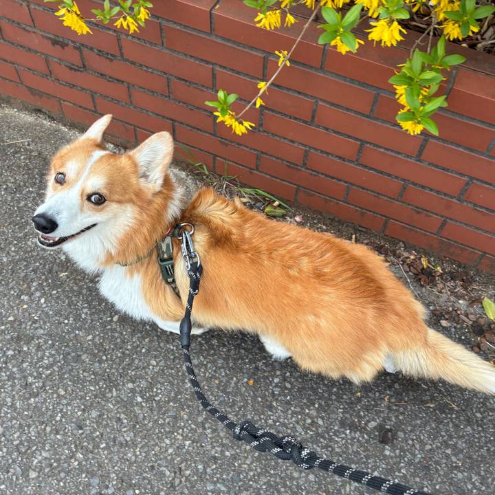 70b1aa11 7fff 4d47 9117 7c14c1159da6 1774829519960