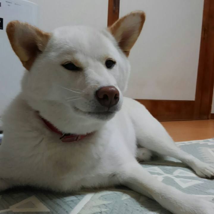 70b1bd1e 7f12 4759 83e8 8f3d1ebe9e3a 1521683976805