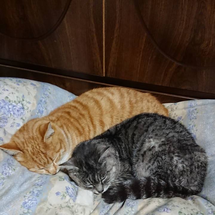 70b1c1f9 9138 4c3b a95f 84ccdc04f8e5 1582201027121