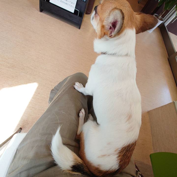 70b1c884 64fb 49bc a1ff 626b953c40c2 1659959663549