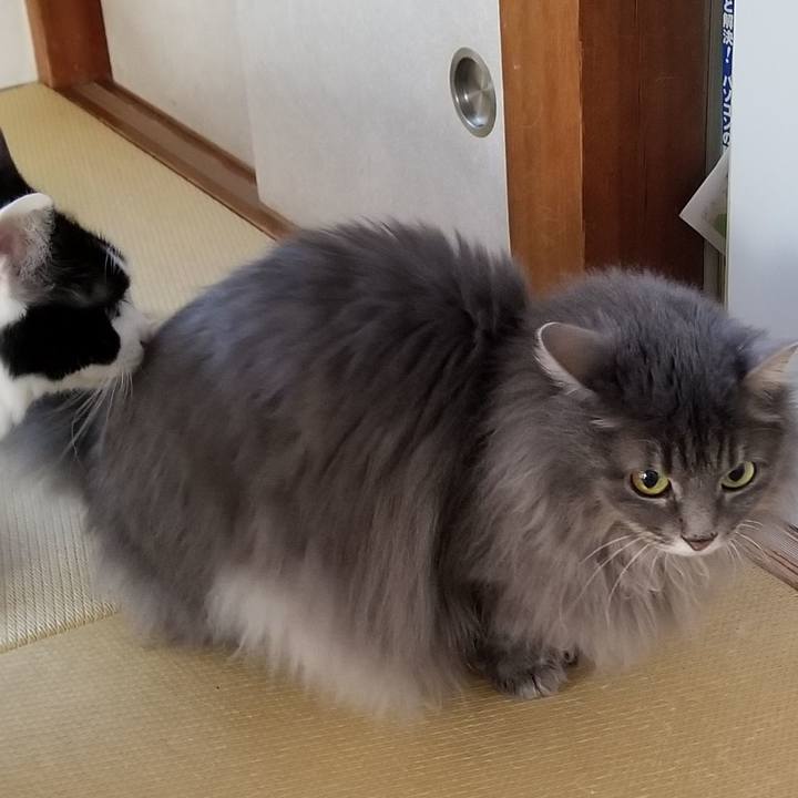 70b1d245 e136 4af0 85a9 0521dd36db74 1582848469326