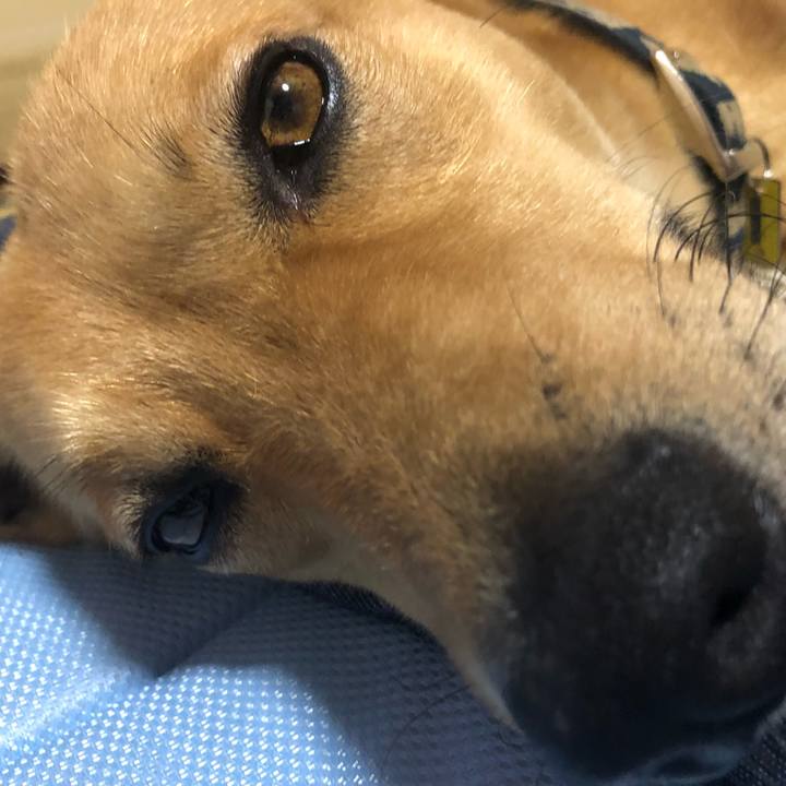 70b20baf 8819 4009 aca2 50972b7efff7 1565423398701