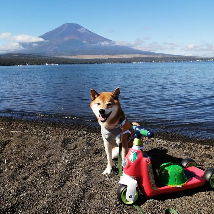 70b2547d e579 4a73 b975 d6b6c8a5ee06 1633959613639