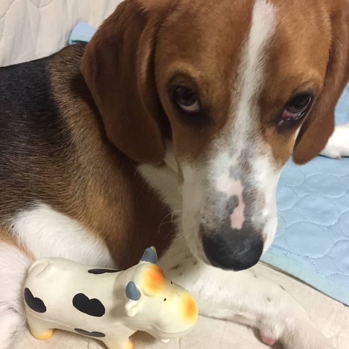 70b25a65 c527 41fd 9e3b f02c86d51e7d 1527777181508