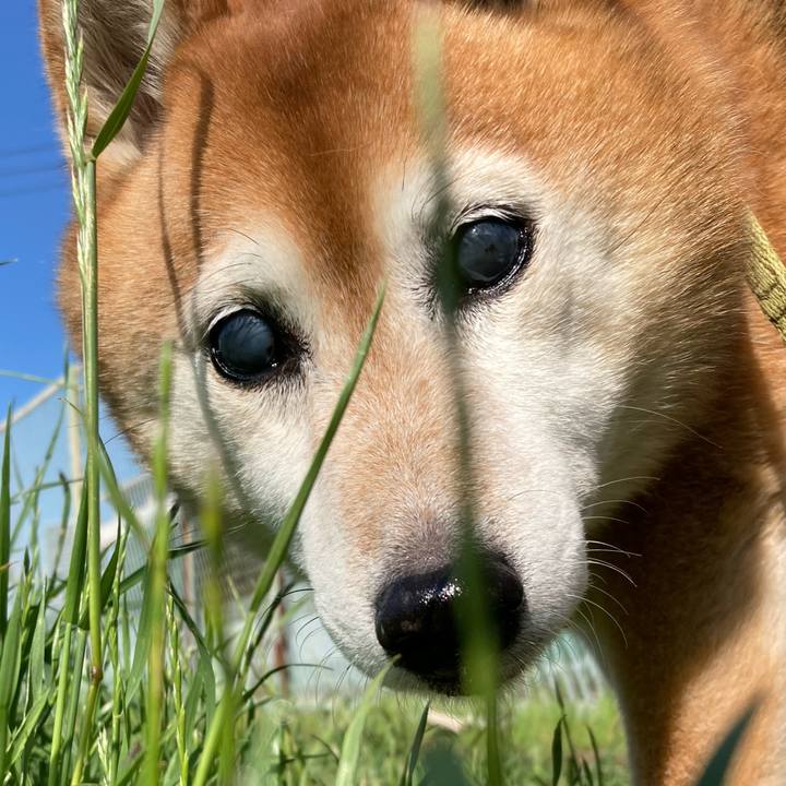 70b277e8 e523 4a38 9c8f 44f77435358d 1717042111226