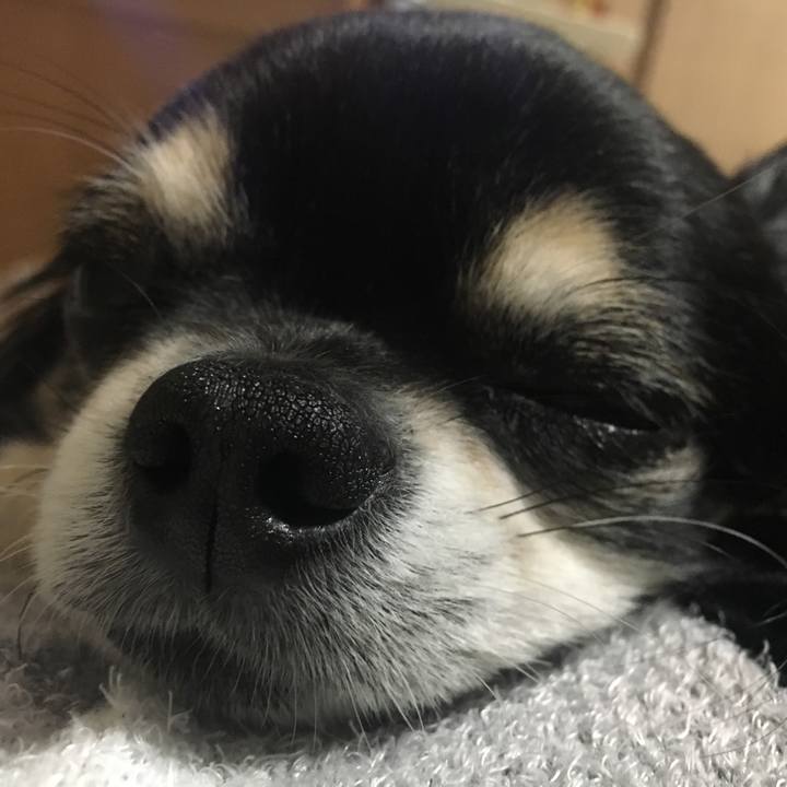 70b2901e 4d63 439e bf73 f46379a49c9f 1511681529195