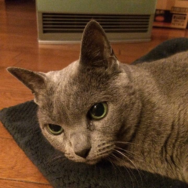 70b2ae4d 736e 42ae 87b1 bed99f6335d0 1515499253259