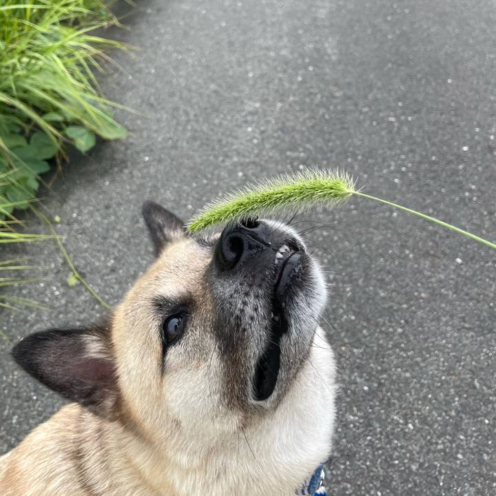 70b2b3ae 2274 4a9c bd6e aaddbd84c97d 1661084681172