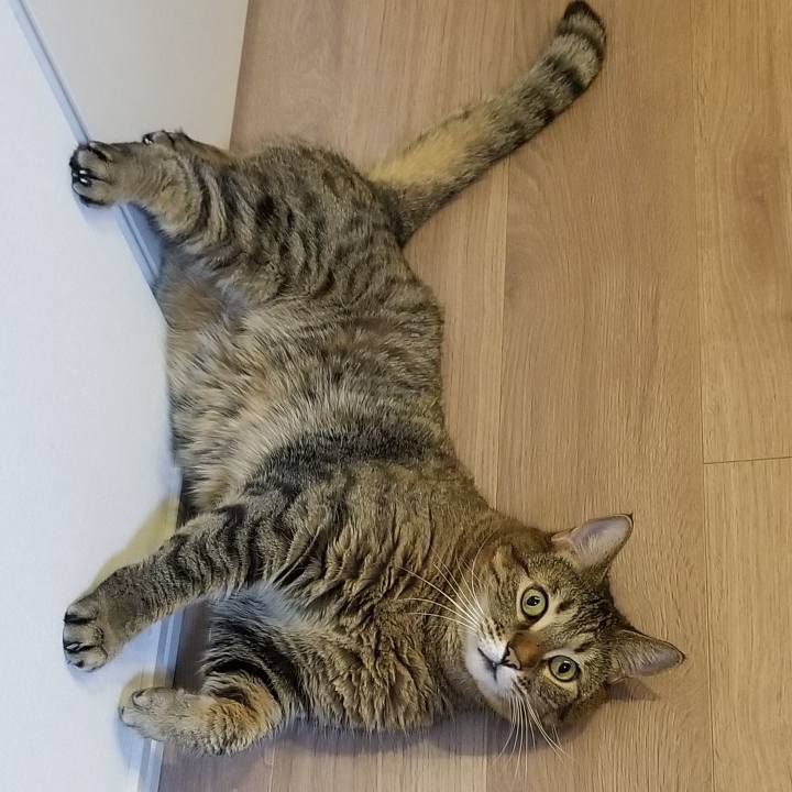 70b2b870 235a 41ea abad dca87de2a86f 1575604326302