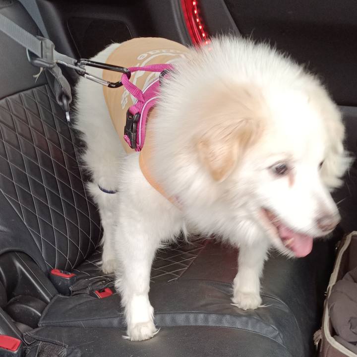 70b2dd5f 113f 4f01 89a2 2d20300aa053 1709008359484