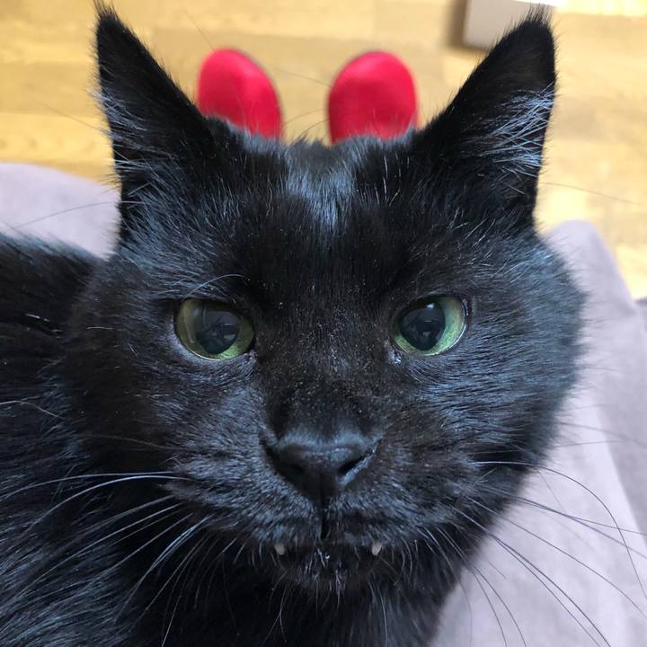 70b2e82d d058 4d22 8abe 8c6d2d75e8b4 1613477007159