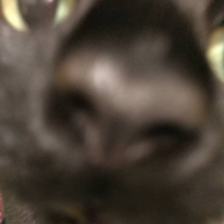 70b2f78c fbfa 456b a125 977cca99b47a 1509952178049