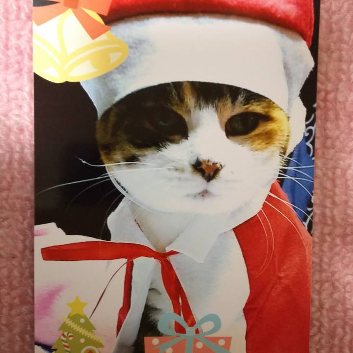 70b307a4 d682 43b8 aa9d 33c14594d2b6 1544267025795