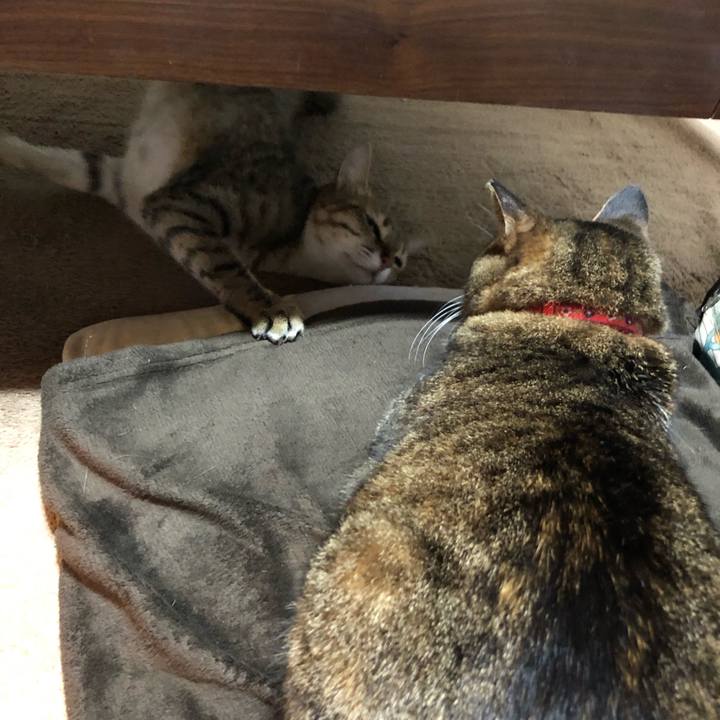 70b3539b 32f0 414f 8a60 8fdf821b0a3e 1610460816434