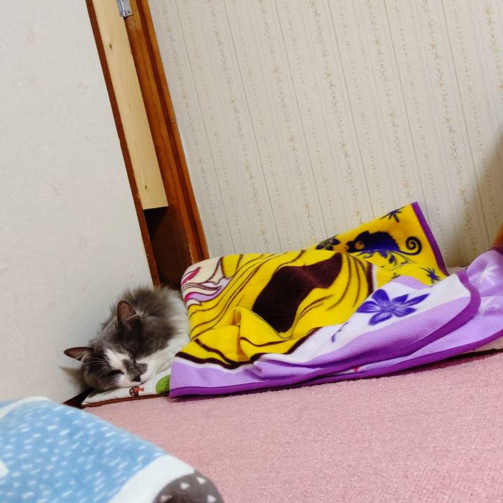 70b392bd e768 4d31 898d f25c1945fd06 1617188726377