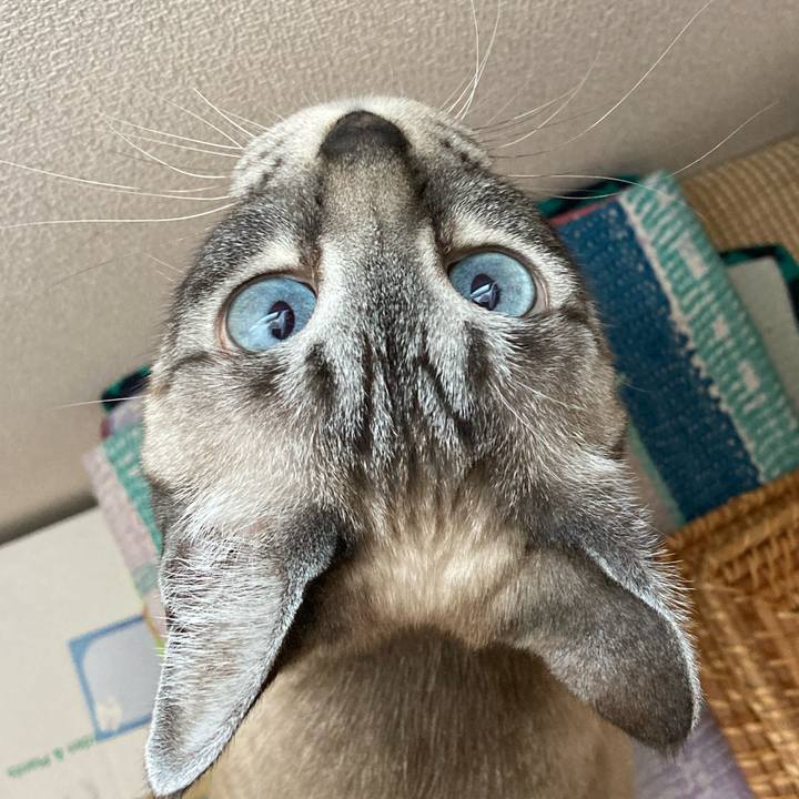 70b3a6d1 0b81 4449 a6dc d9a5d5f1497f 1649468162475