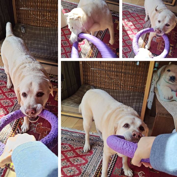 70b43add 233f 44f4 93d5 0ae7bc550940 1764924467867