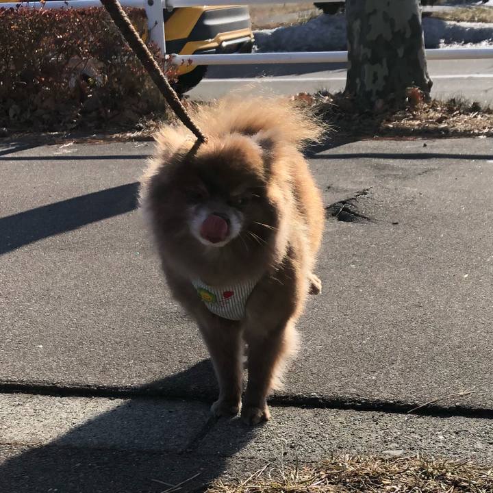 70b4b41e a94c 459c 8cff c2c306743e1e 1580105455608