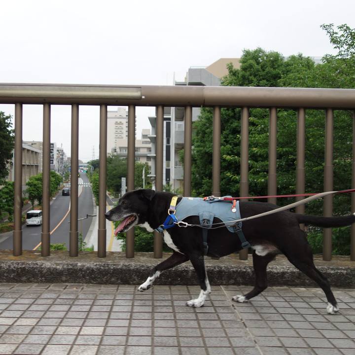 70b4c000 e040 4fa1 830d b71df20d65e8 1747614872931