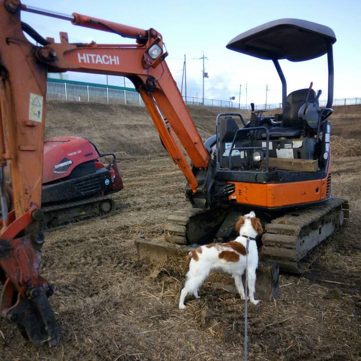 70b4e6b9 70a1 4f6e 93f9 51ad4bd772f5 1515630941161