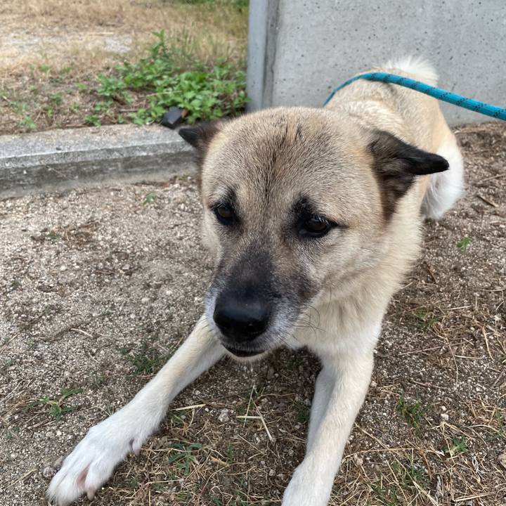 70b5306c 0196 430f b8cc 5afc4ce34be6 1691498338979