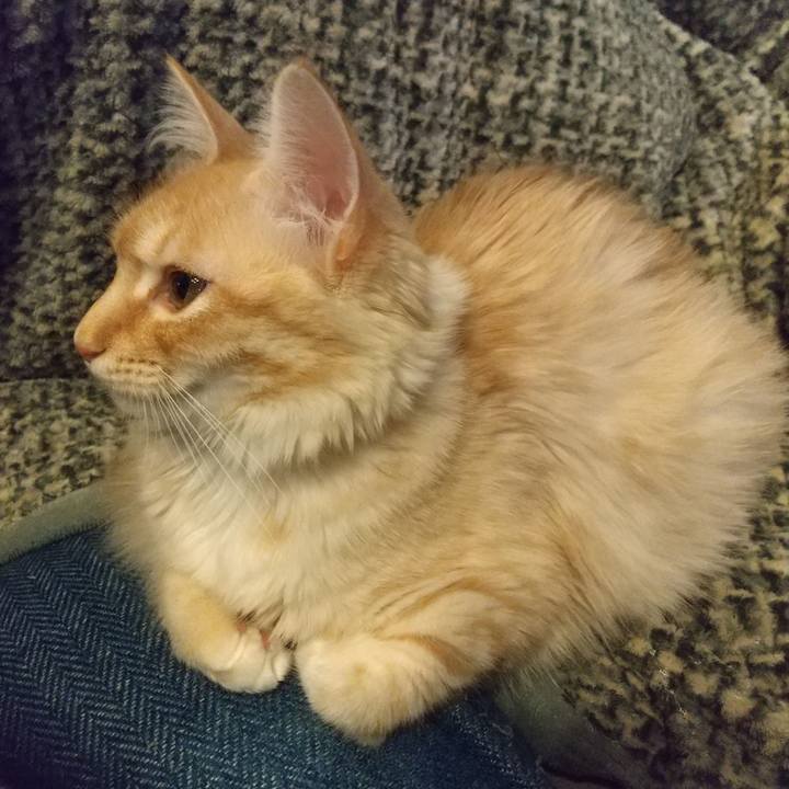 70b533ee a44b 4494 ab95 a4d992755b03 1614244123901