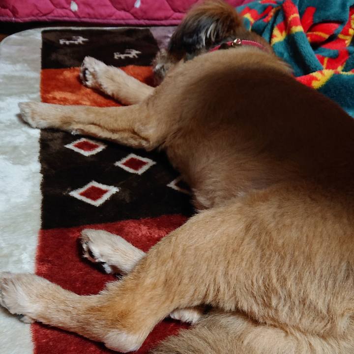 70b58b3d d020 42c6 ba41 5f71d38d66b8 1556538588223