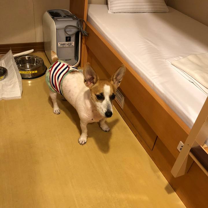 70b58d90 7eac 466c bde8 3d47b7b74790 1568933676181