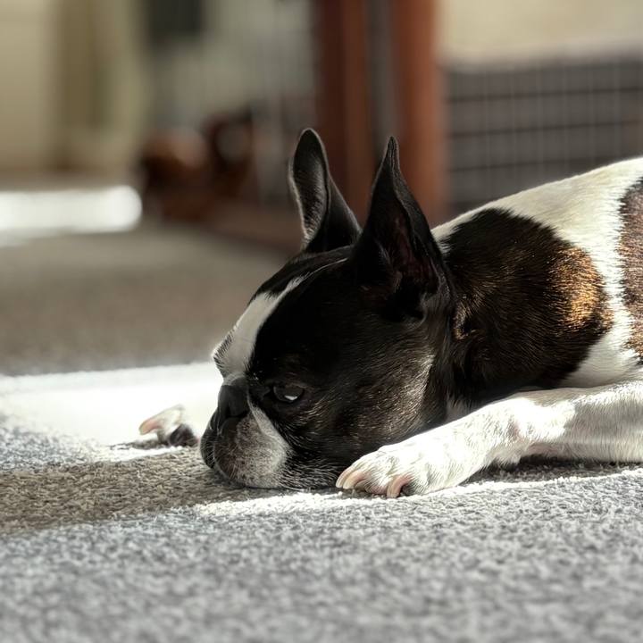 70b5fc80 5cbe 46bd 812c 1b05213ccd8d 1767137408516