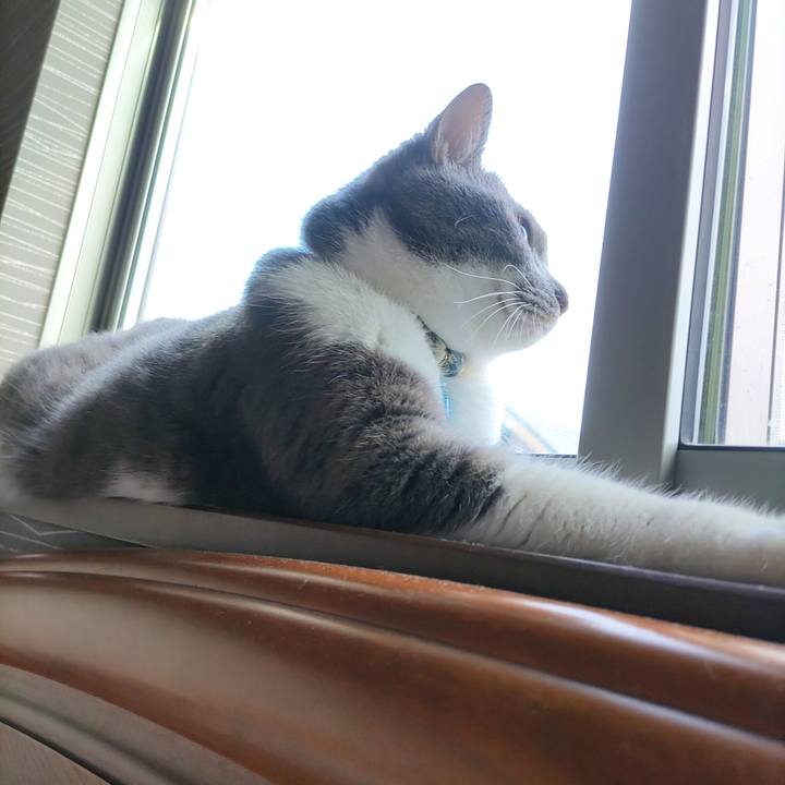 70b60342 661c 427b 8c6b e9a7b00c339e 1721342925940