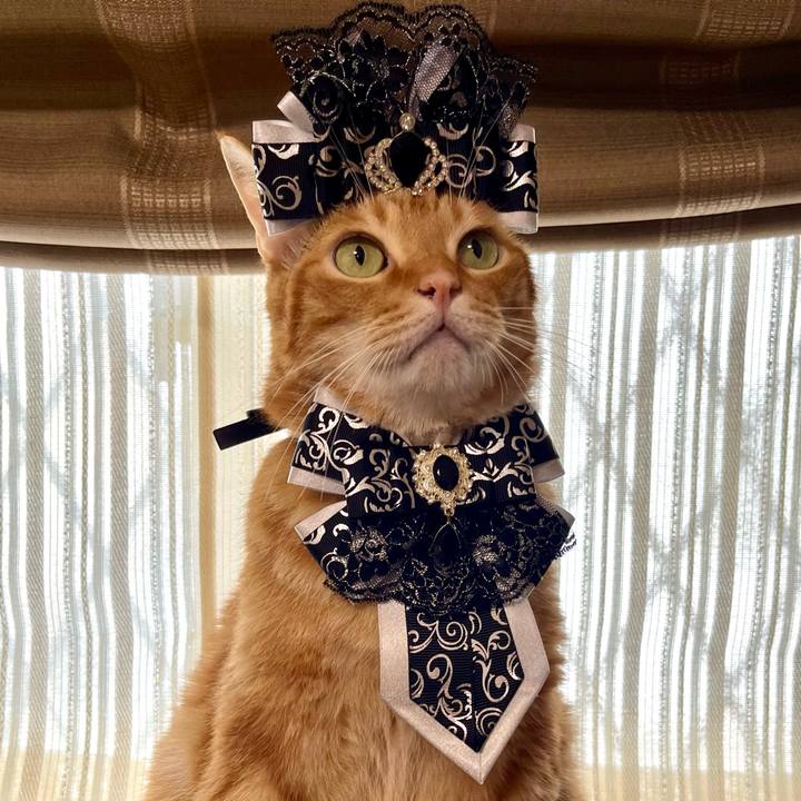 70b680a4 3af2 4f87 8b87 d96191d5c481 1725571214790