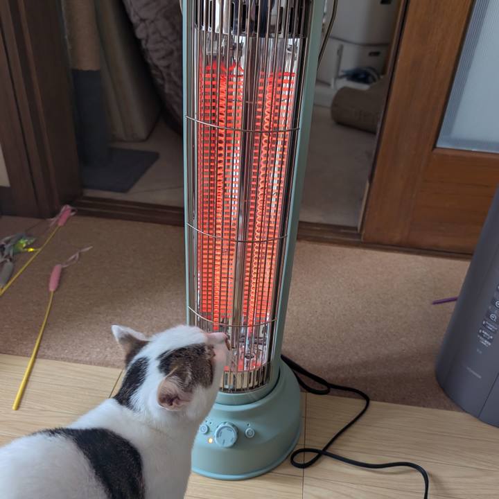 70b6b577 196d 4eb3 a4fb c92b7afc2ec1 1734148828668