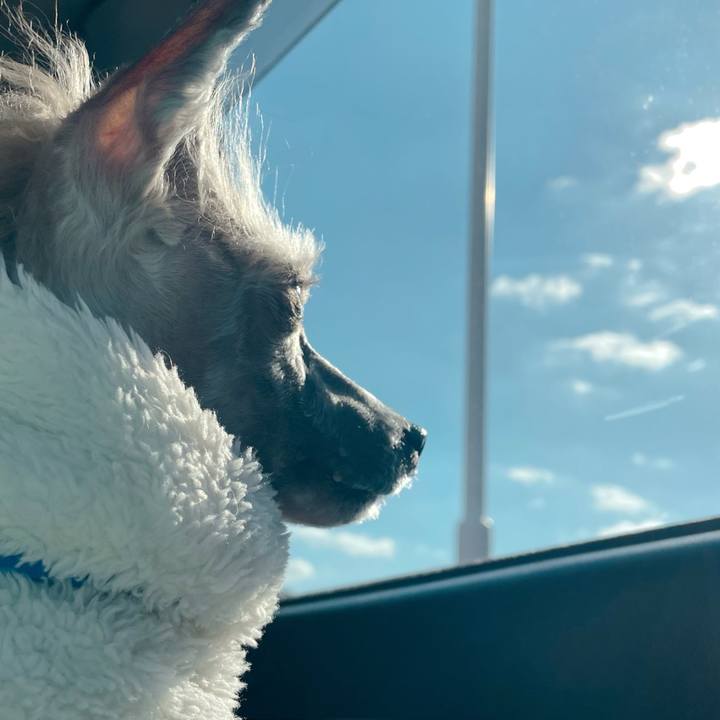 70b70466 eb0d 4cc1 81b0 2add3605748f 1768197802273