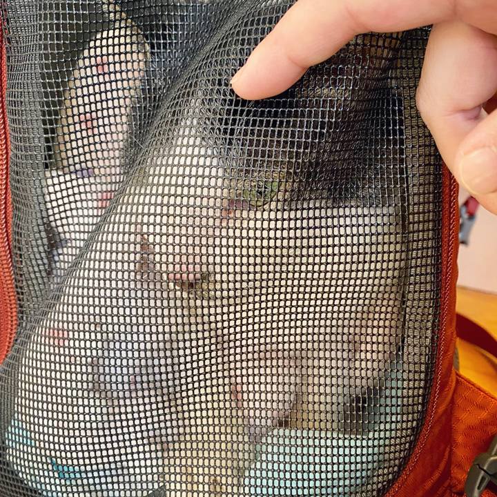 70b7341a 2c37 4ae9 9f51 281a3daf5485 1614227403556