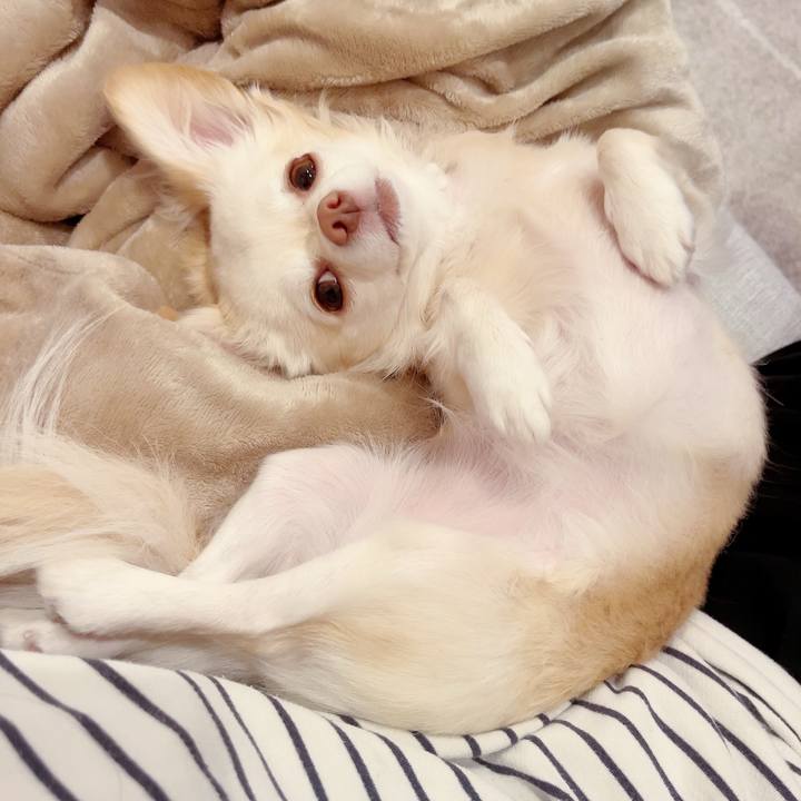 70b7409e e2d2 4623 9ebd 253be8d812d5 1699274899083