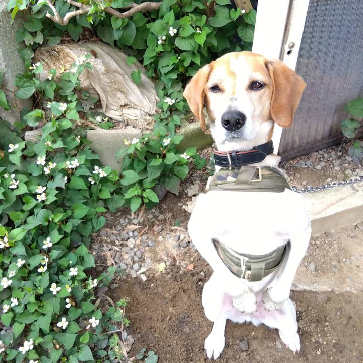 70b7452a a89d 4254 b62e 91fcd9aaf68c 1686128877128